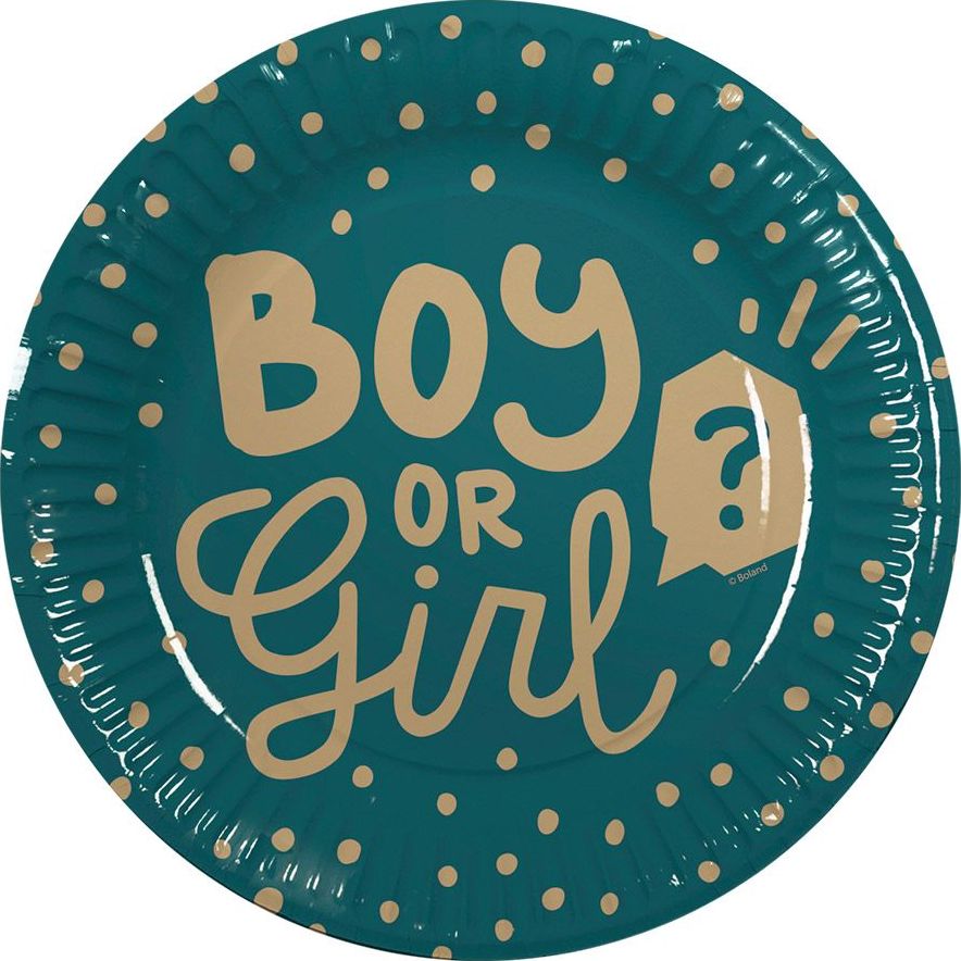 Boy or girl gender reveal papieren bordjes 10 stuks