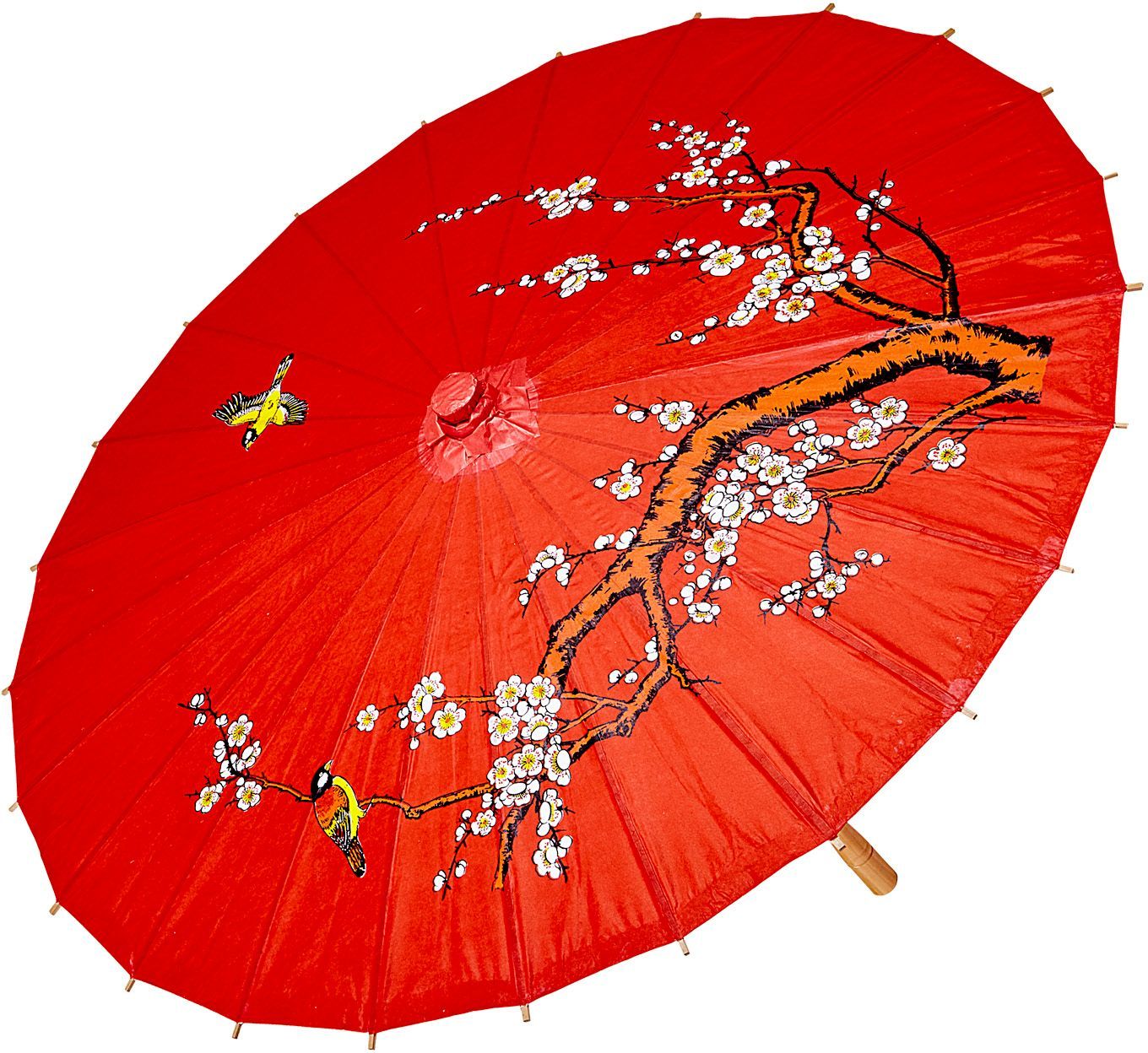 Chinese paraplu