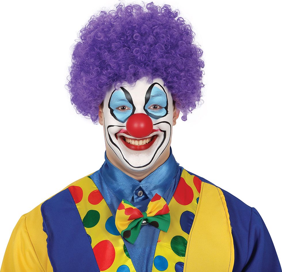 Clownspruik paars