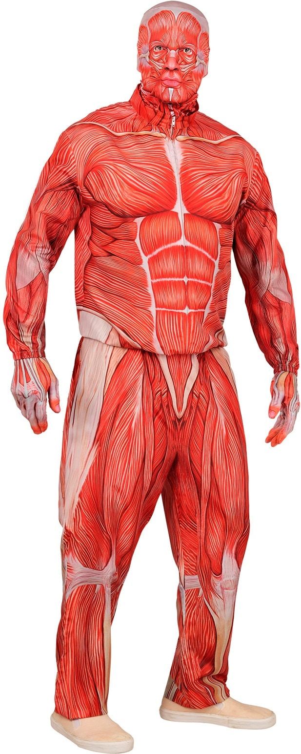 Colossal Outfit Attack on Titan Heren