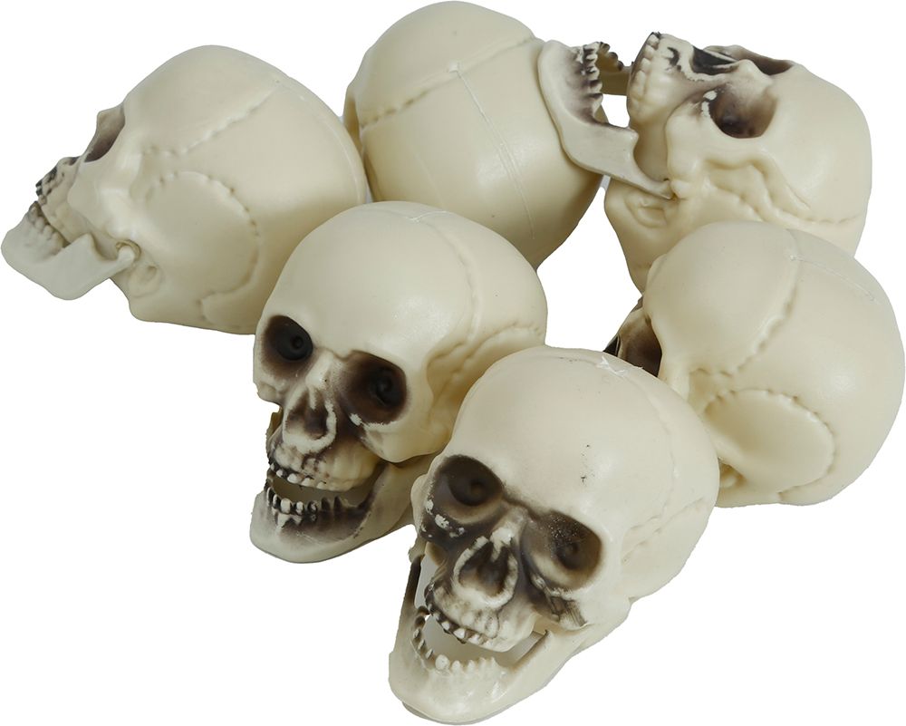 Decoratie Schedels Set 6 Stuks