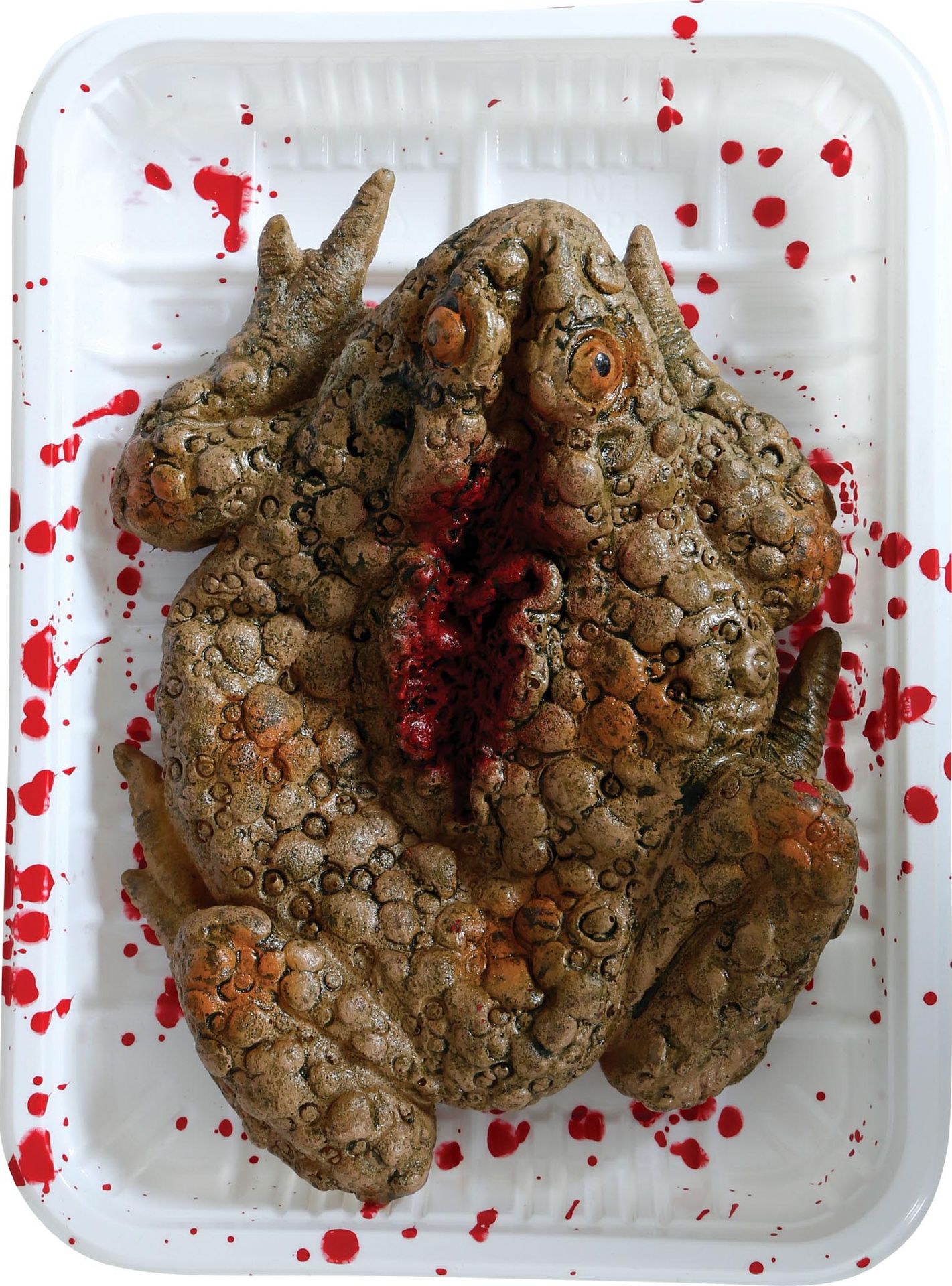Dienblad met ontleedde kikker halloween