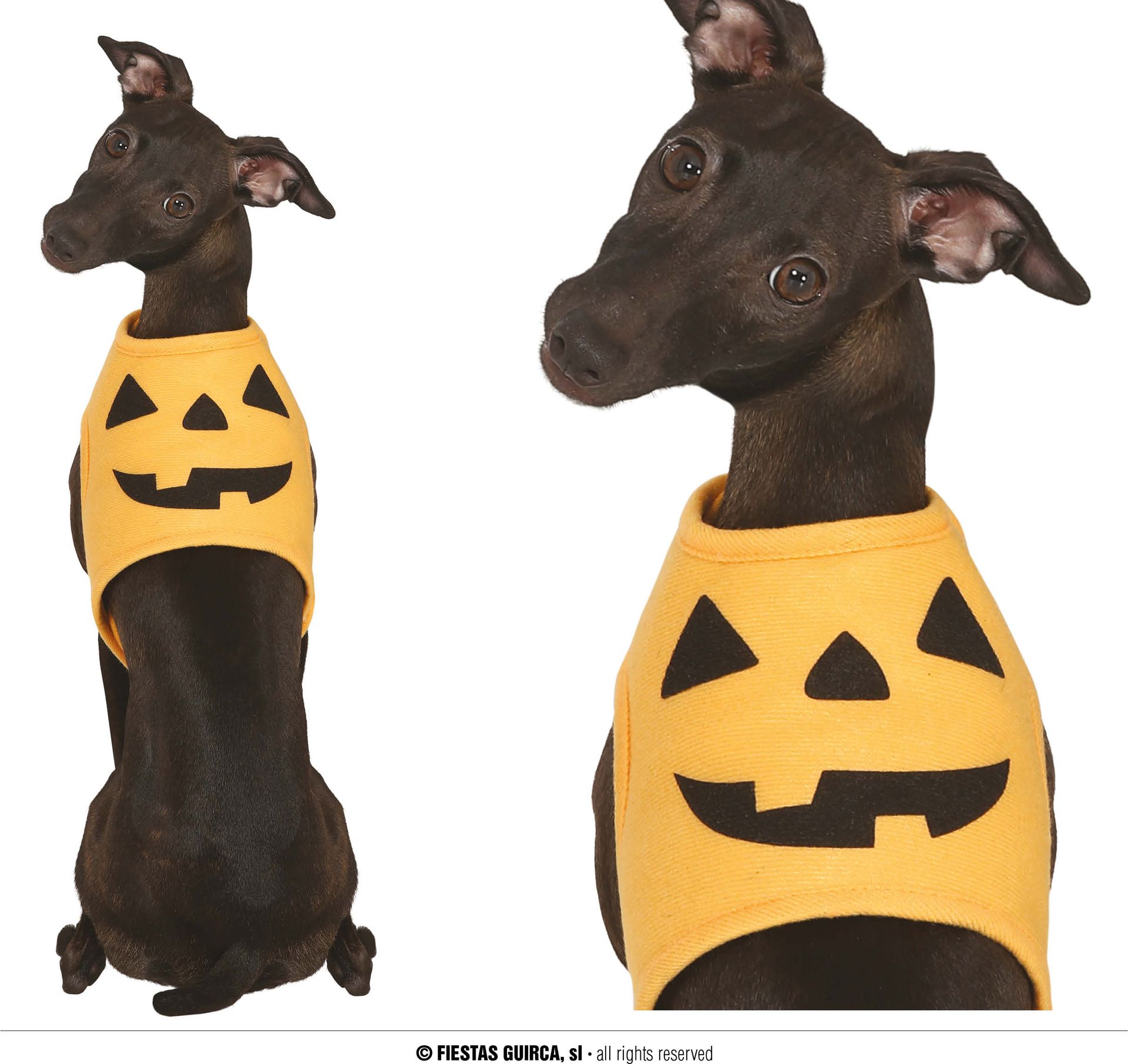 Dieren kostuum pompoen maat S halloween