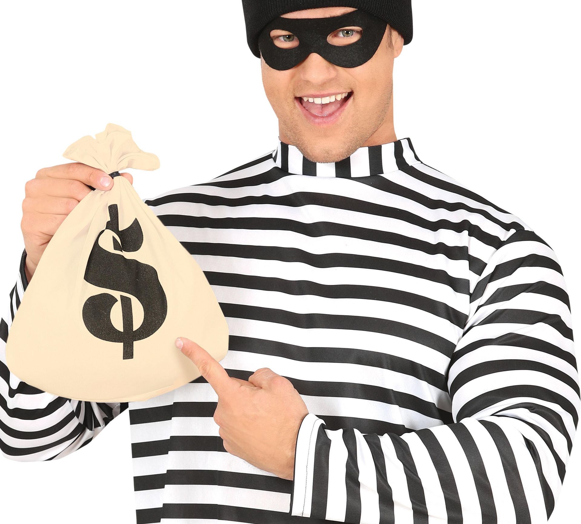 Dievenzak met Dollarteken