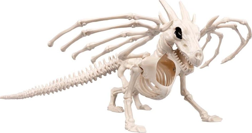 Drakenskelet Halloween Decoratie