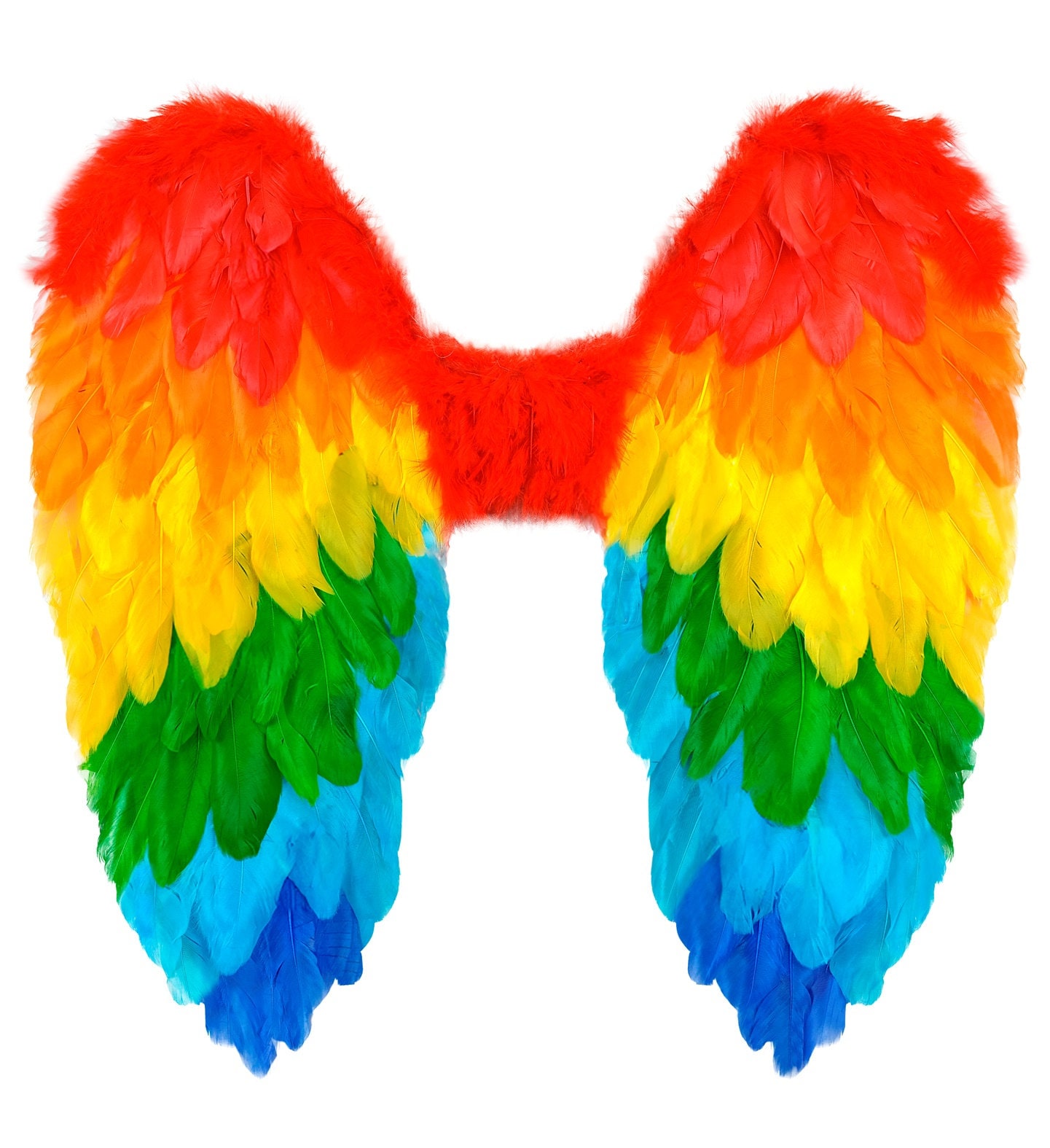 Engelenvleugels Regenboog Veren Feest Dames Heren