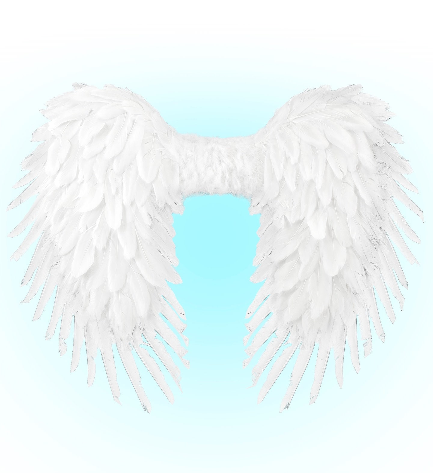 Engelenvleugels Wit Feest Dames Heren