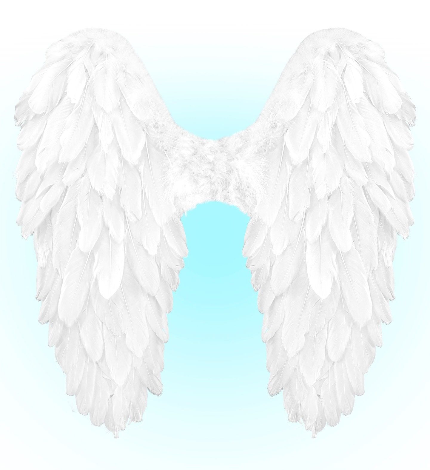 Engelenvleugels Wit Veren Feest Dames Heren