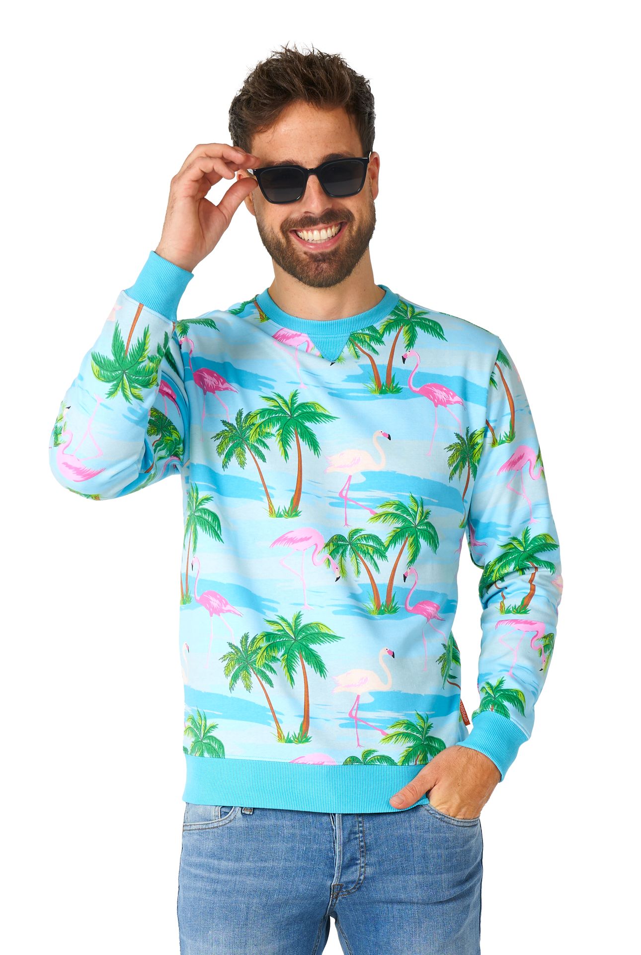 Flaminguy Sweater Heren Opposuits