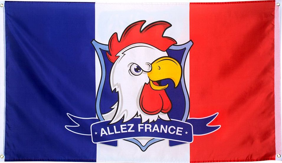 Frankrijk supporter vlag allez france