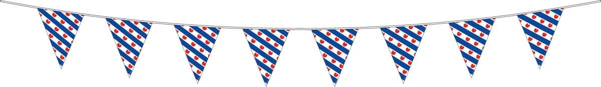 Friese vlag vlaggenlijn 10 meter