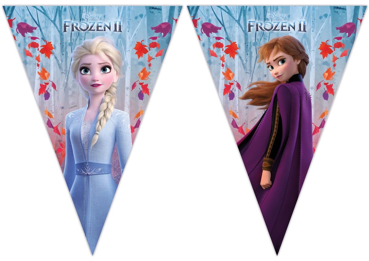 Frozen 2 kinderfeestje vlaggenlijn 2 meter