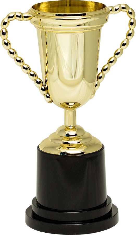 Gouden Trofee Beker 25Cm