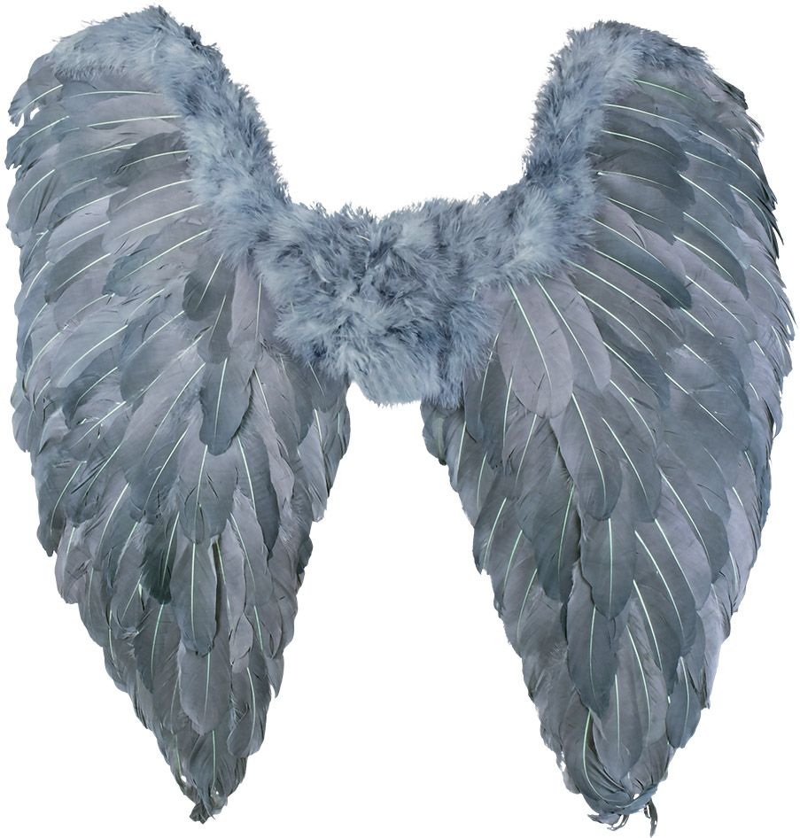 Grijze engels vleugels met veren