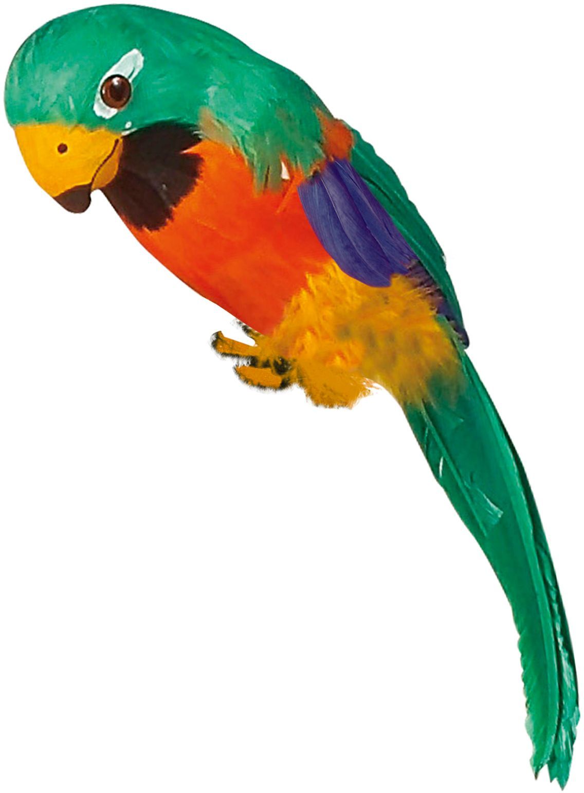 Groene papegaai met veren