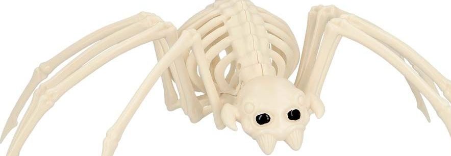 Groot Spin Skelet 37cm Halloween
