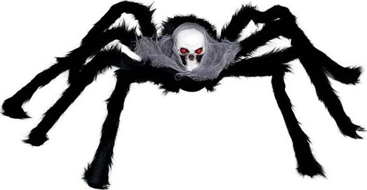 Grote spin met doodshoofd halloween 70 cm
