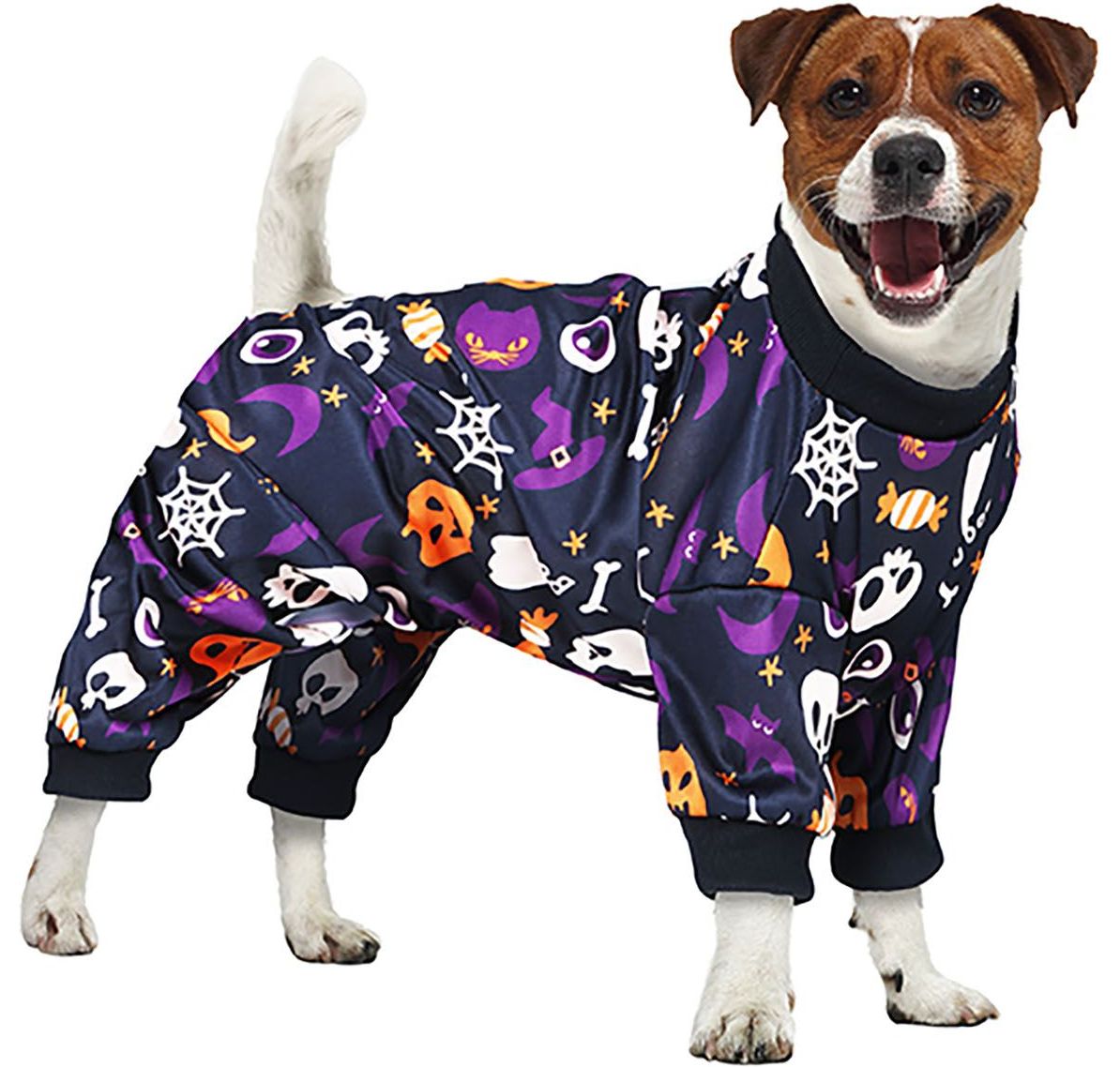 Halloween dag van de doden honden outfit