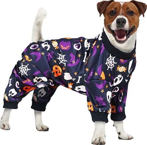 Halloween dag van de doden honden outfit