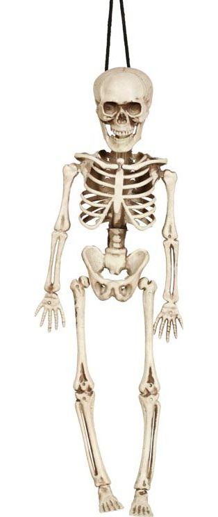 Halloween hangend skelet 40cm