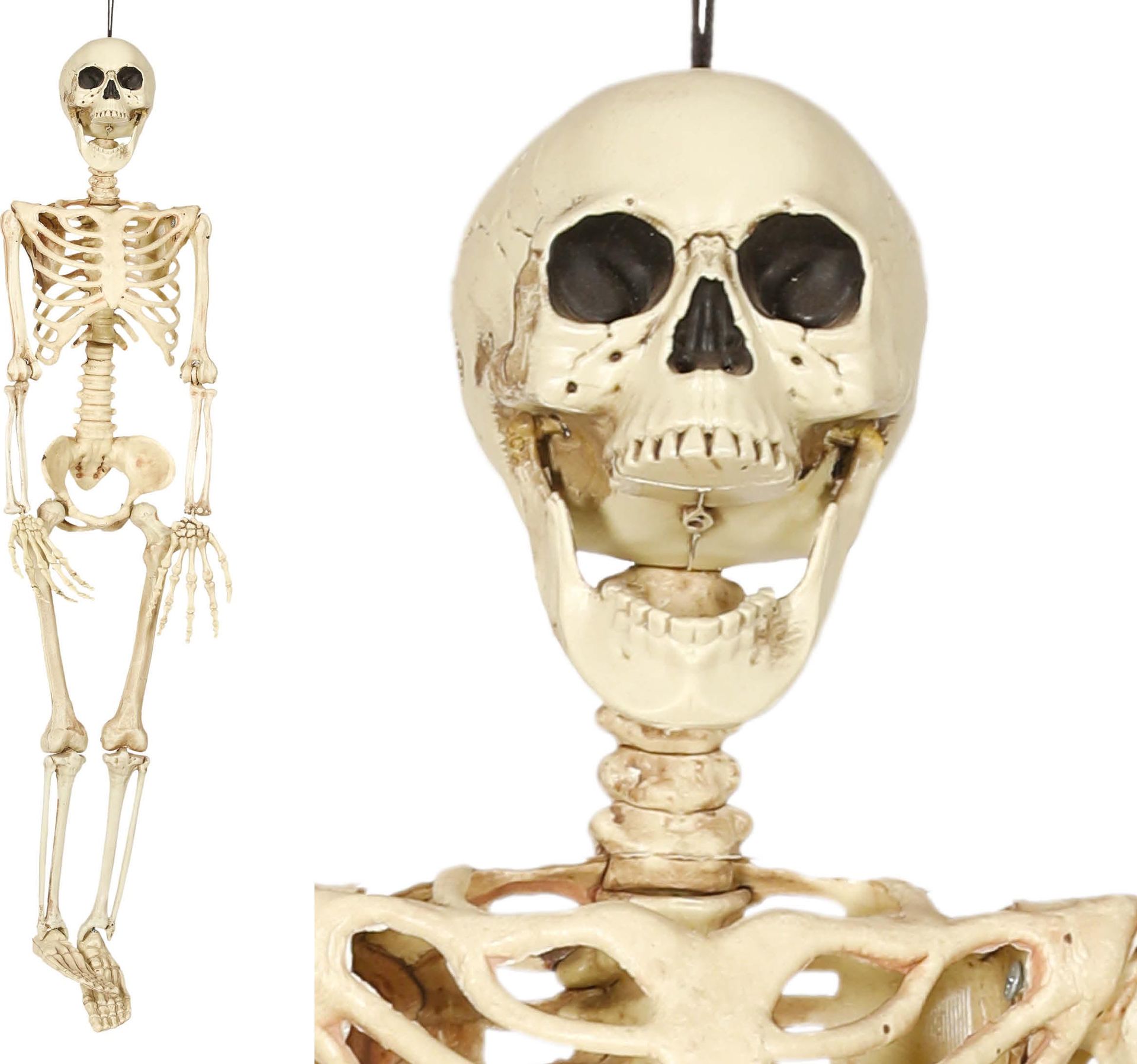 Halloween hangend skelet 90cm