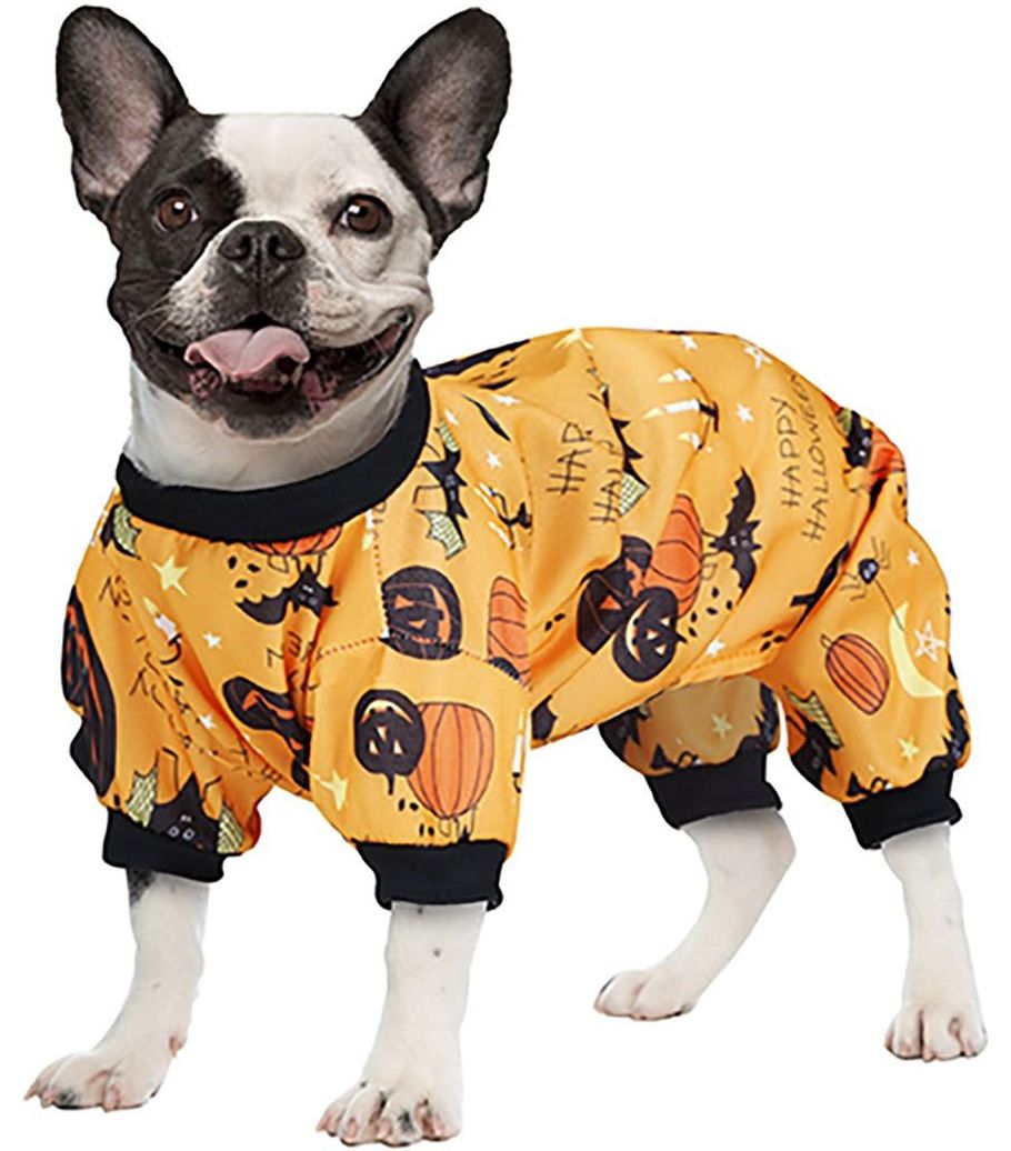 Halloween pompoen outfit hond