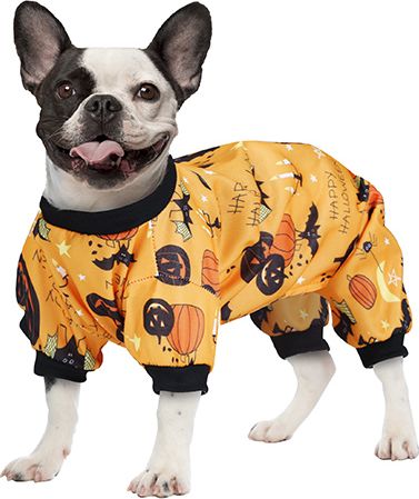 Halloween pompoen outfit hond