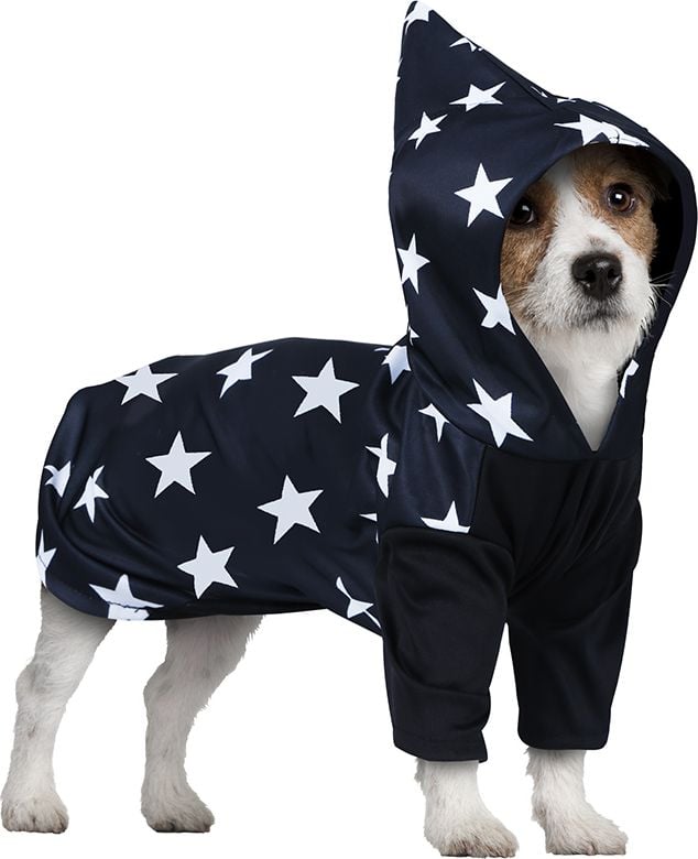 Halloween tovenaar outfit hond