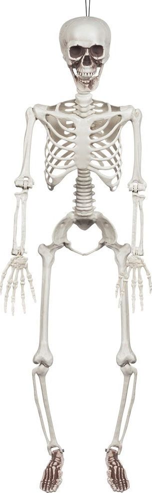 Hangdecoratie Skelet Standaard Wit Halloween