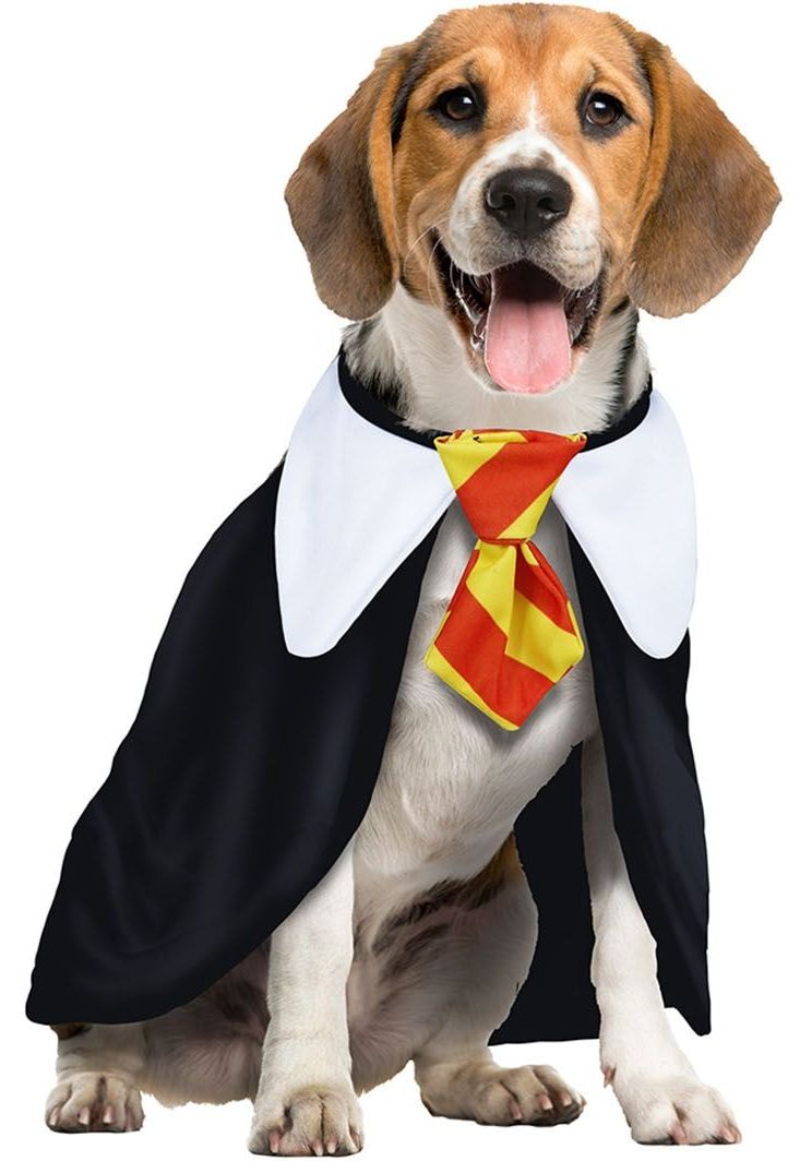Harry Potter outfit hond