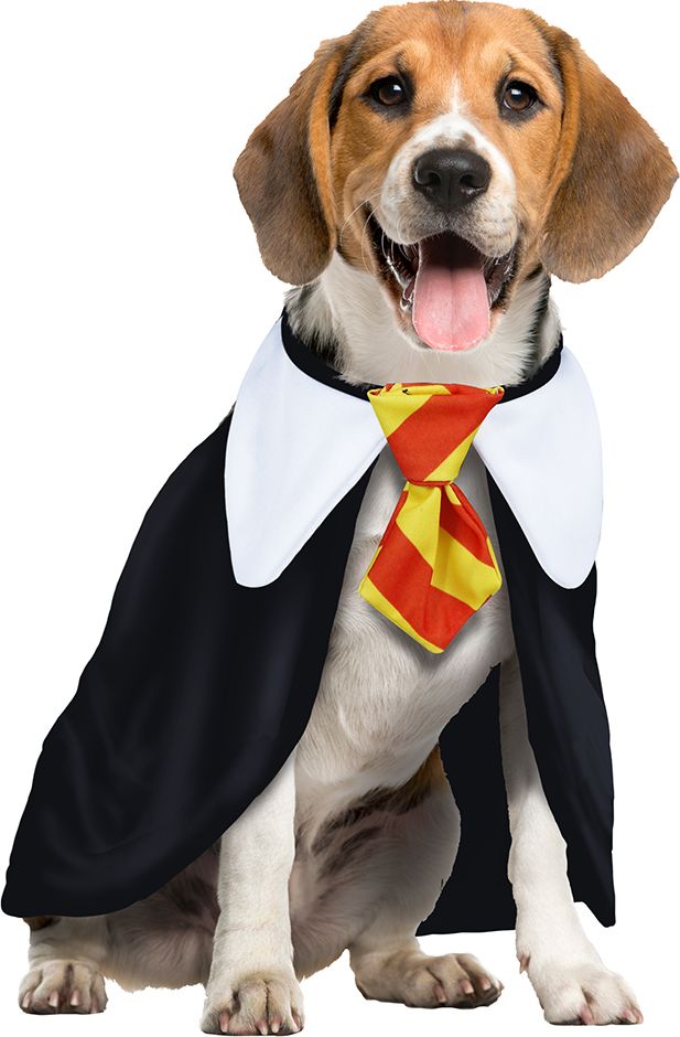 Harry Potter outfit hond