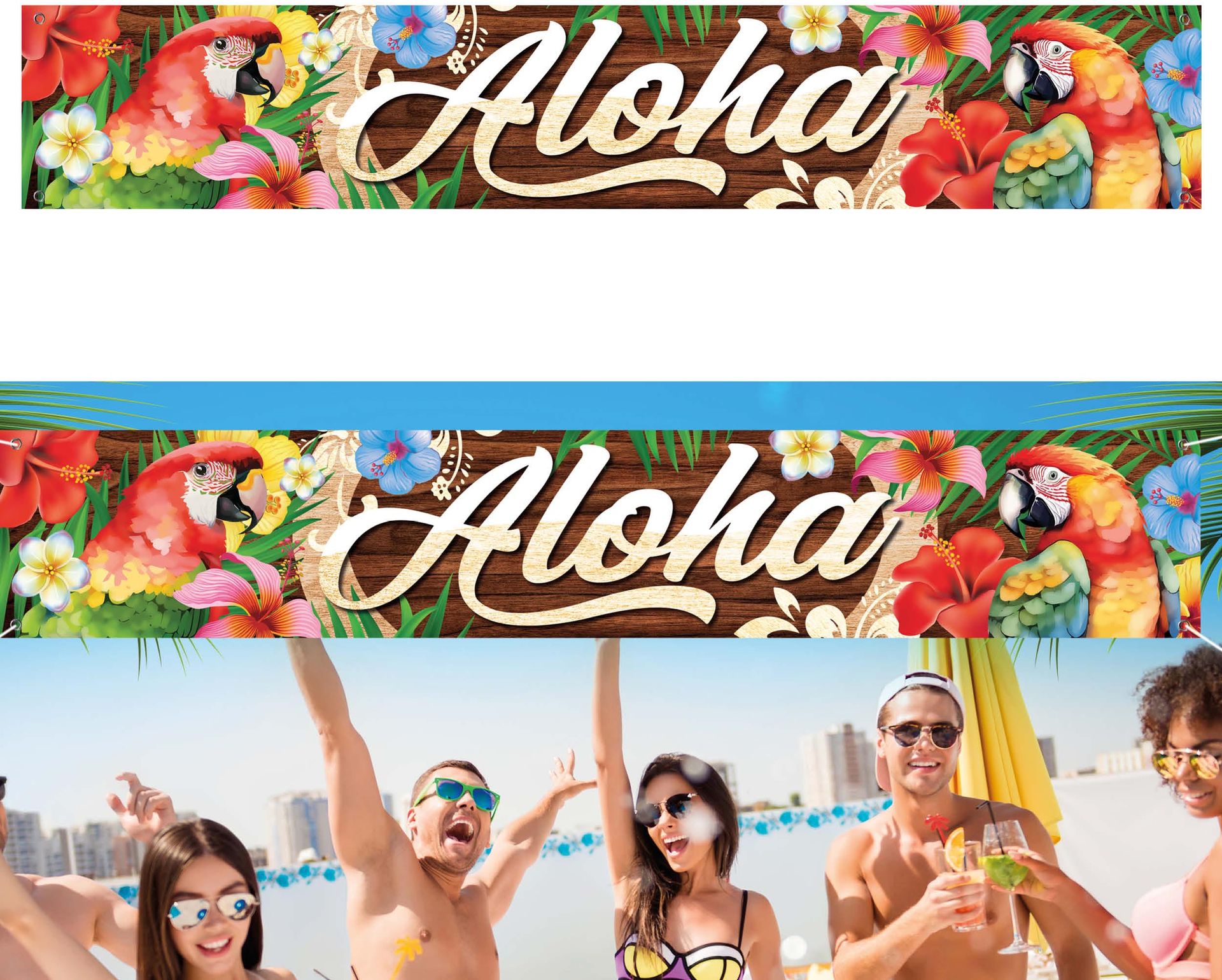 Hawaii Aloha Banner