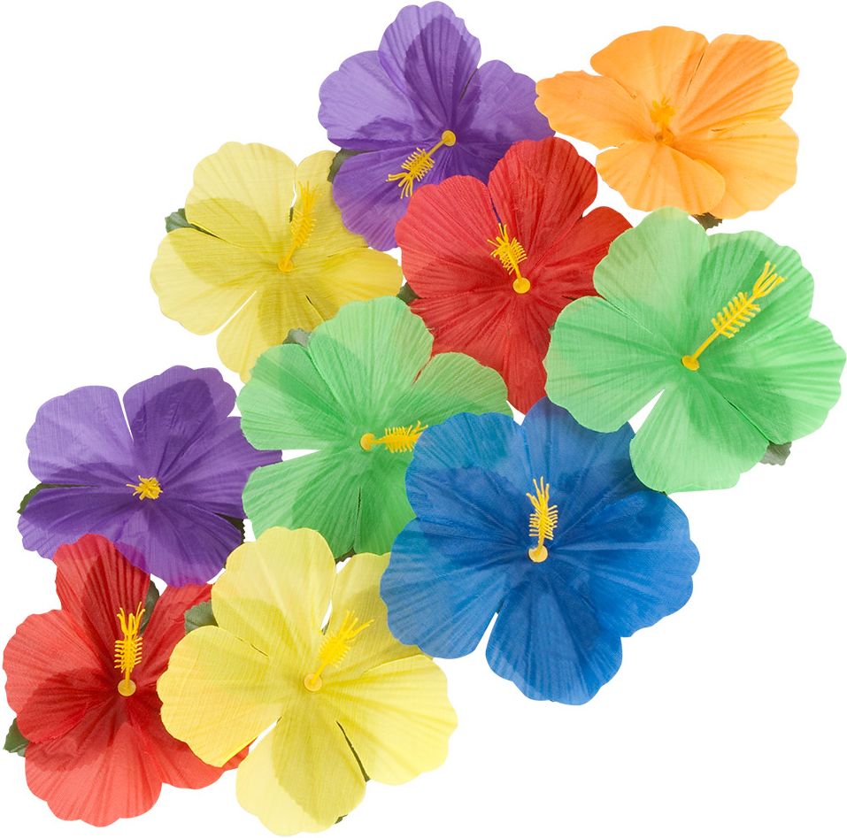Hawaii kleurrijke decoratie bloemen