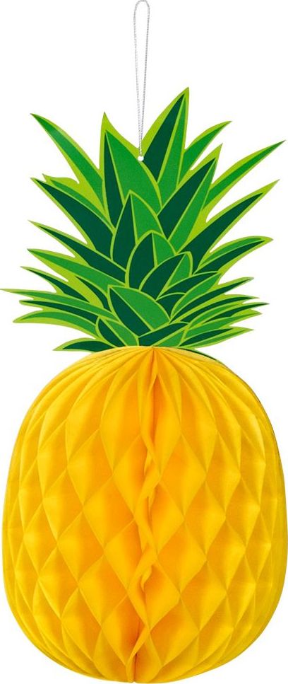 Hawaii party ananas decoratie