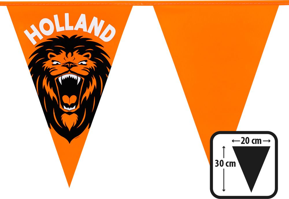 Hollandse leeuw oranje vlaggenlijn 6 meter