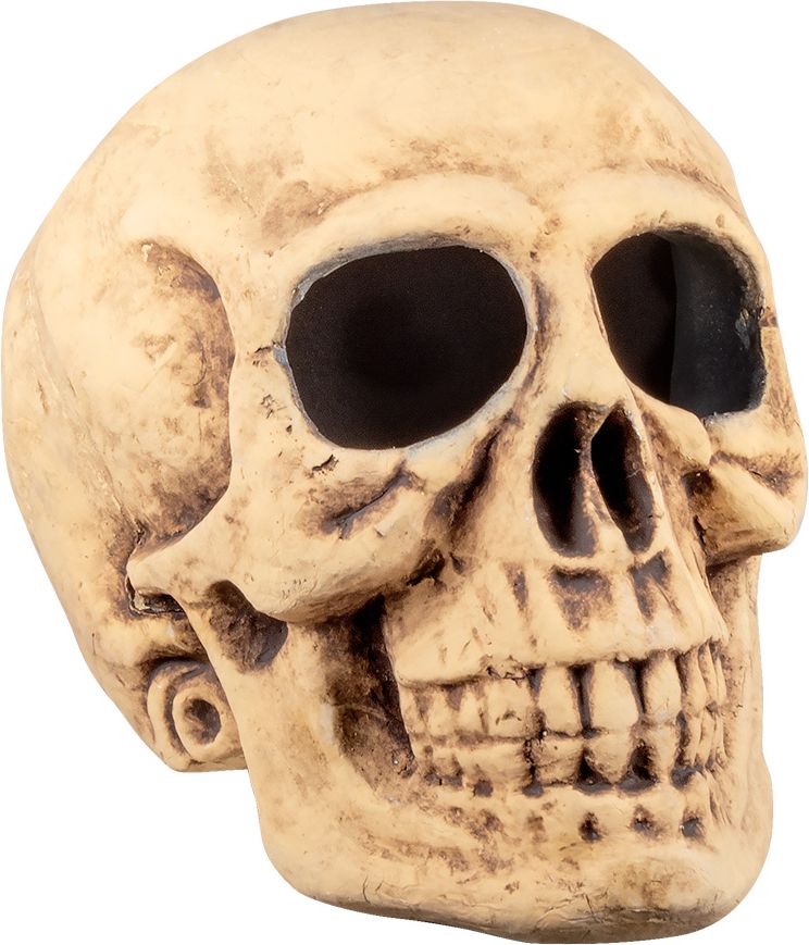 Holle schedel decoratie halloween