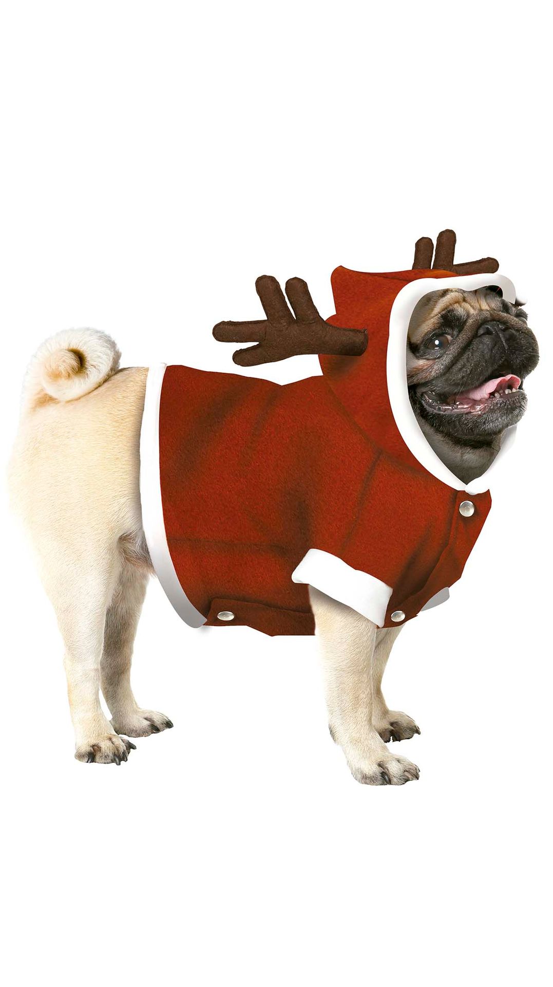 Honden kerstkostuum rendier