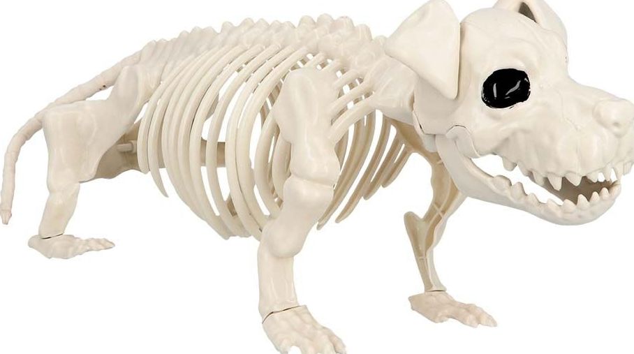 Hondenskelet Halloween Decoraties