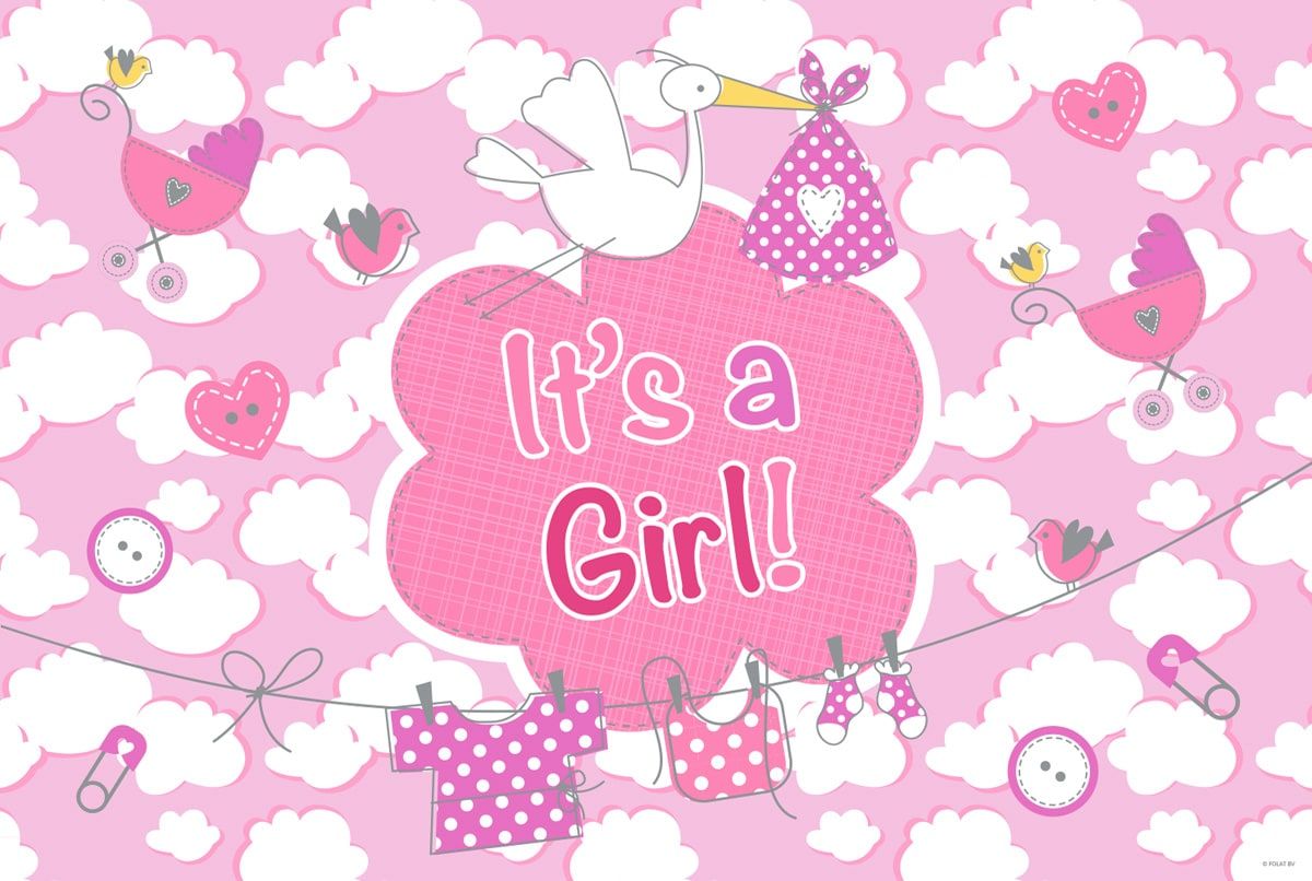 Its a girl geboorte meisje raamvlag