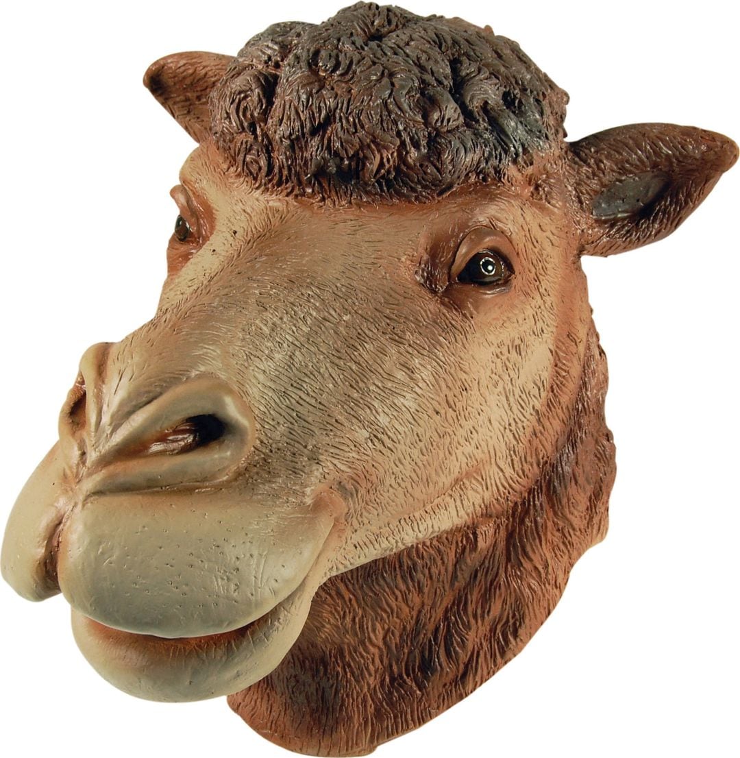 Kameel hoofdmasker