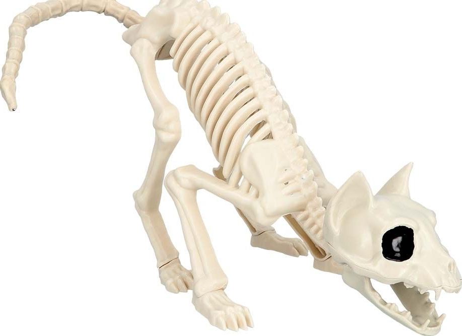 Kattenskelet Halloween Decoraties