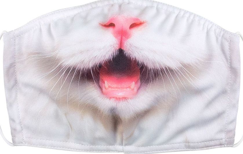 Kattensnuit mondmasker