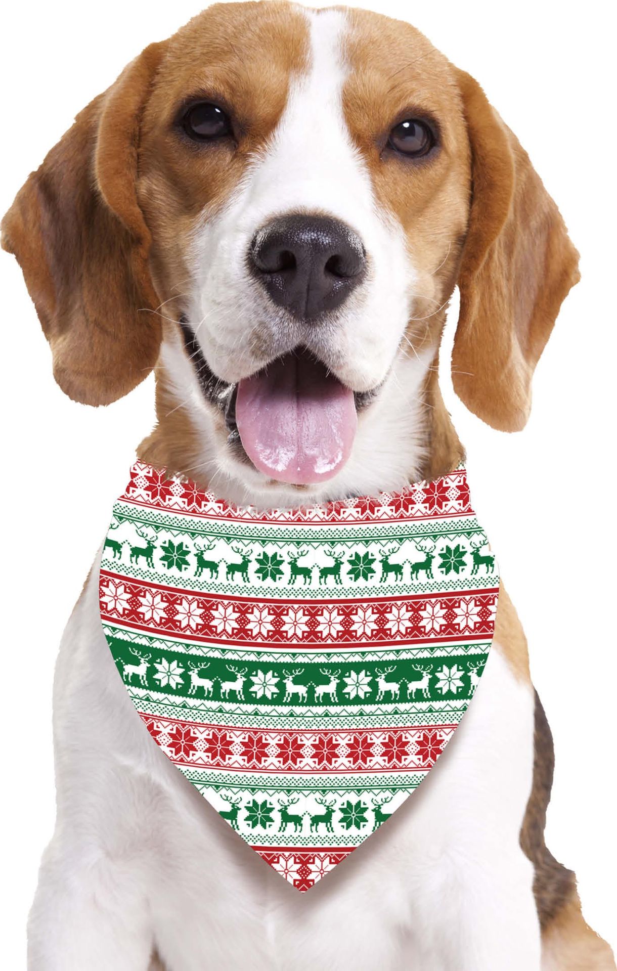 Kerstbandana voor honden met print