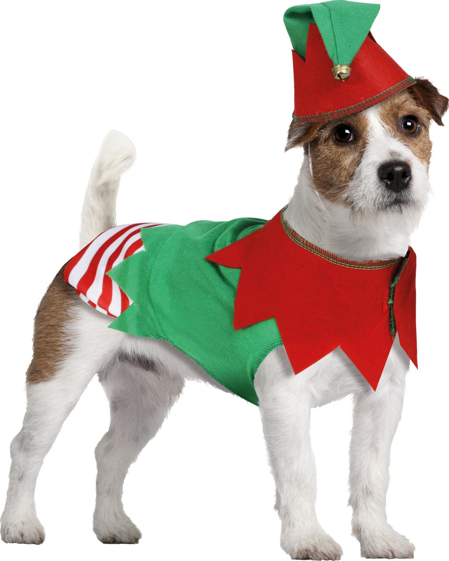 Kerstelfen kostuum voor honden