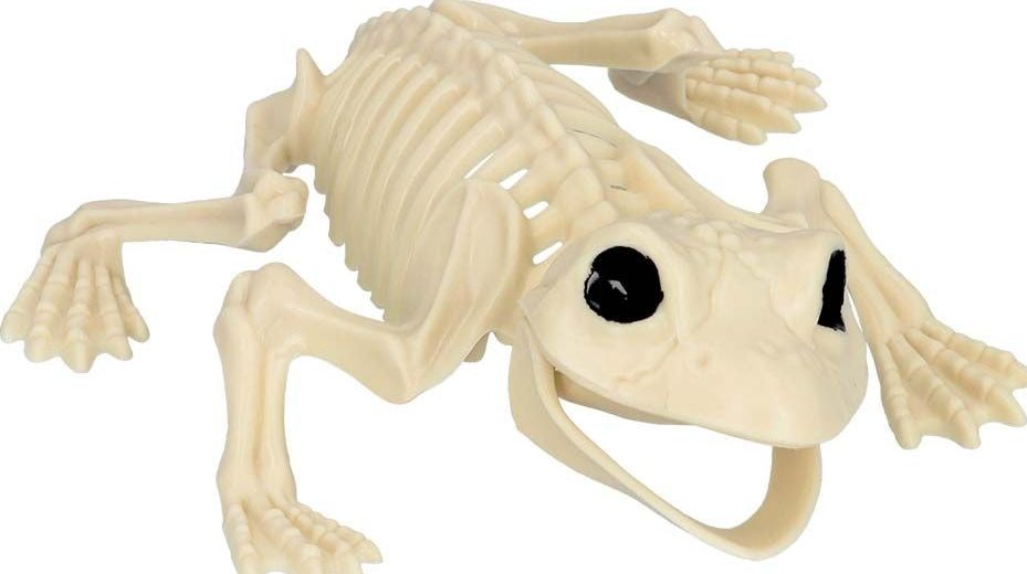 Kikker Skelet Halloween Decoraties