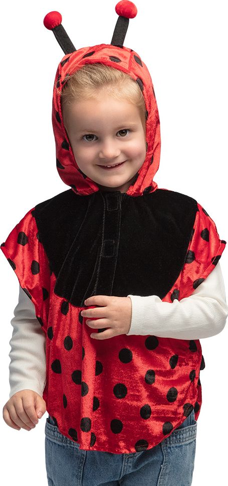 Kinder Poncho Lieveheerstbeestje