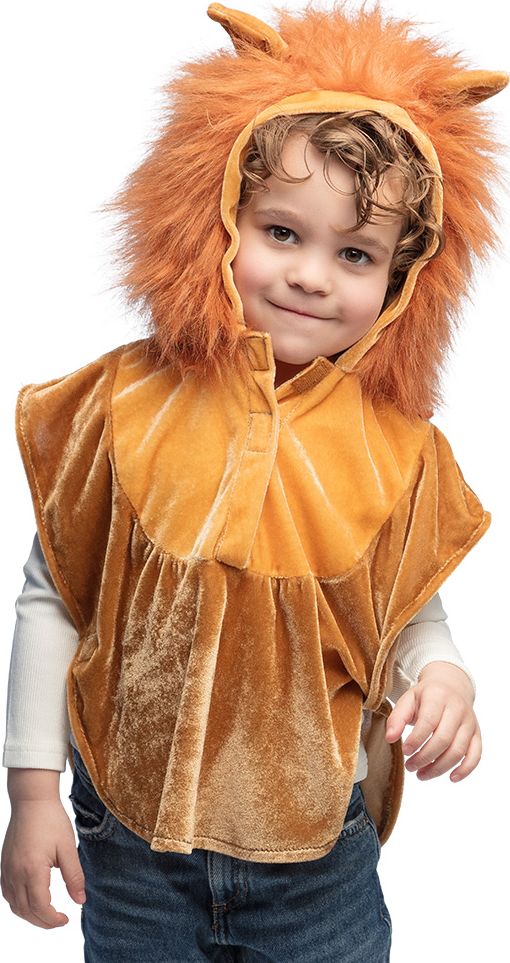 Leeuw Poncho met Afneembare Staart Kinderen