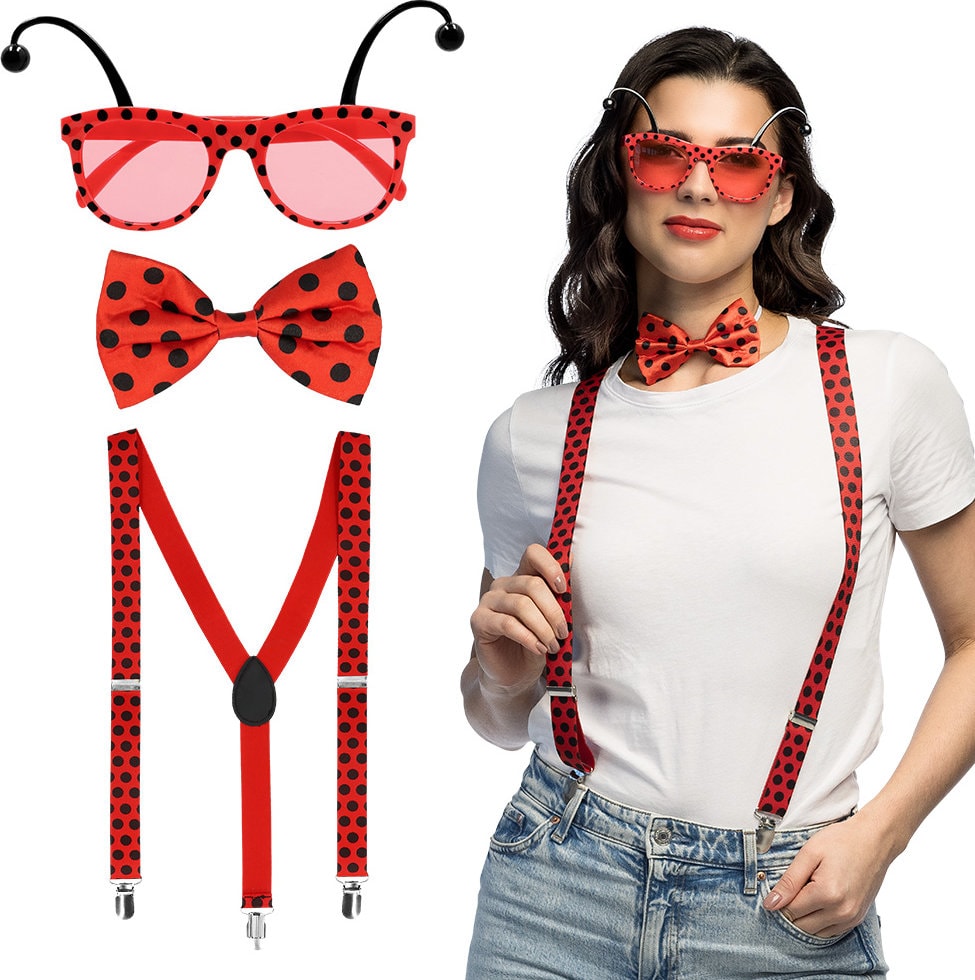 Lieveheersbeestje accessoire Set Volwassenen