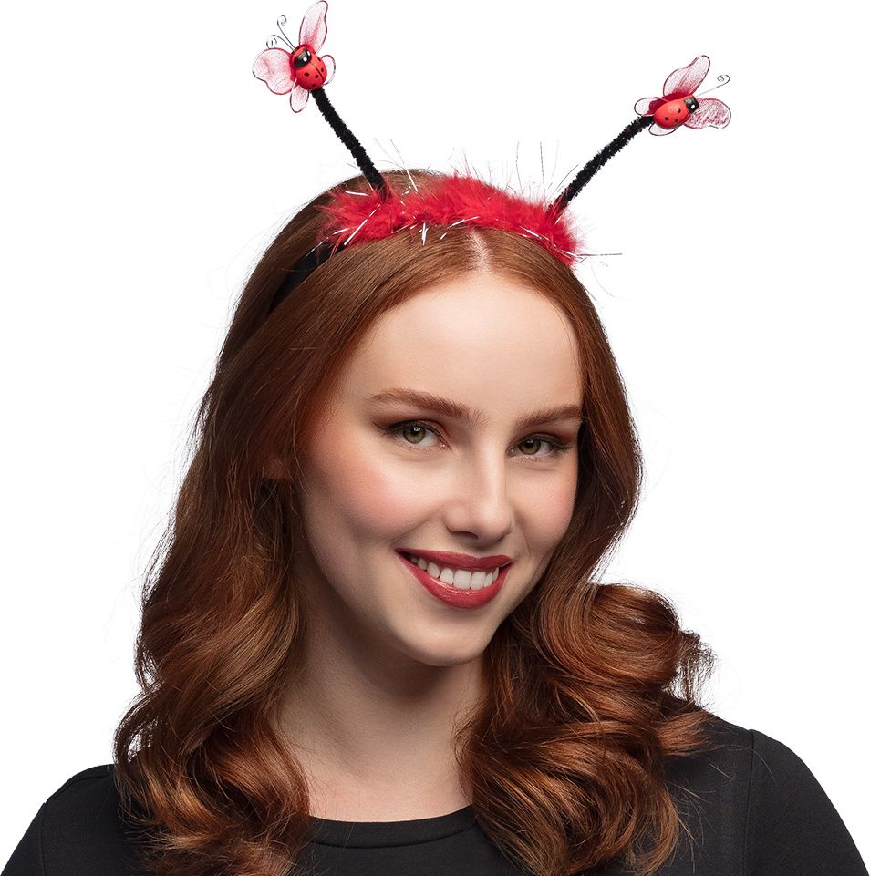 Lieveheersbeestjes Tiara