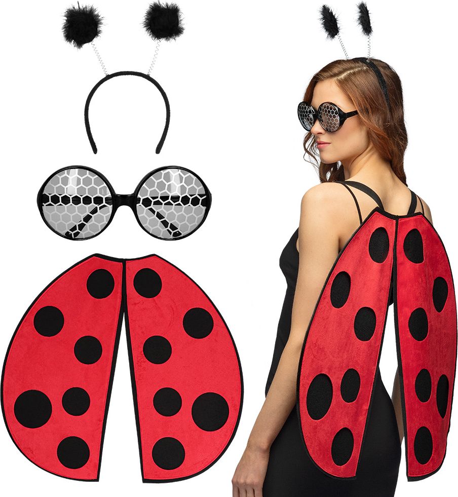 Lieveheerstbeestje Accessoireset 3-Delig